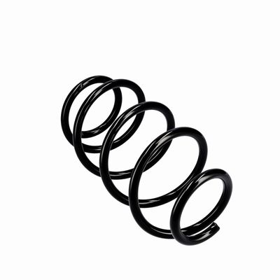 ARC SPIRAL EIBACH R10288 23