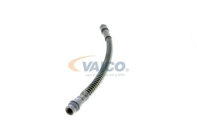 FURTUN FRANA VAICO V464113 24