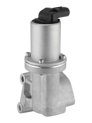 AGR-VENTIL BorgWarner 712068D 1