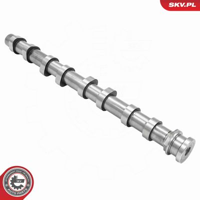 AX CU CAME ESEN SKV 80SKV070 2