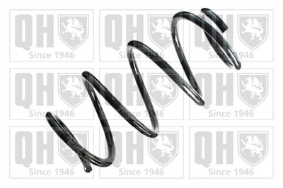 QUINTON HAZELL QCS8406 Пружина подвески  для FIAT (Фиат)