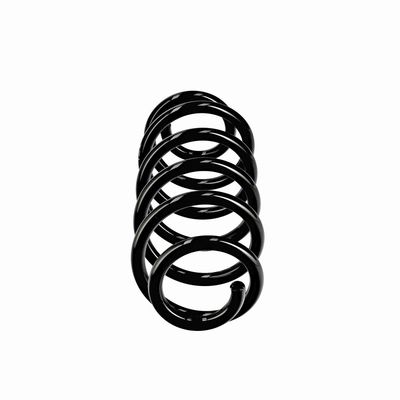 ARC SPIRAL EIBACH R10811 13