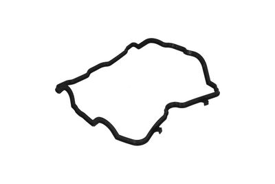 GARNITURA CAPAC SUPAPE