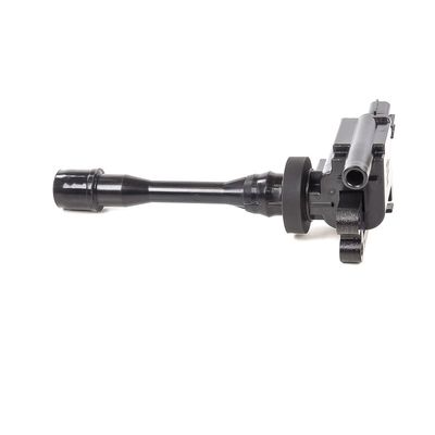 ZüNDSPULE DELPHI GN1019112B1 17