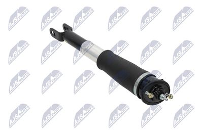 AMORTIZOR NTY ACH007 30