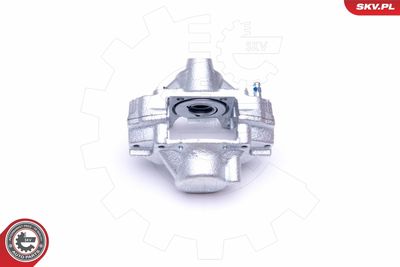 Brake Caliper 45SKV494