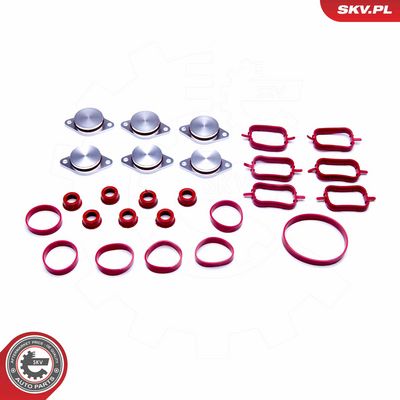 ESEN SKV Tarpiklių rinkinys, įsiurbimo kolektorius