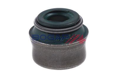 ETANSARE SUPAPE BOGAP A1343100 2