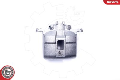 Brake Caliper 44SKV991