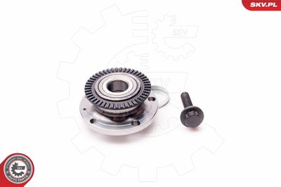 Wheel Bearing Kit 29SKV069