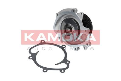 Water Pump, engine cooling T0073