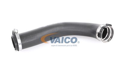 LADELUFTSCHLAUCH VAICO V460847 12