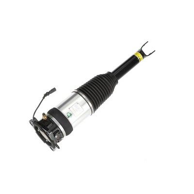 LUFTFEDERBEIN Arnott AS2969 73