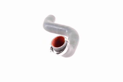 FURTUN EAR SUPRAALIMENTARE VAICO V460823 3