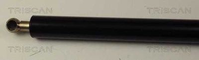 AMORTIZOR PORTBAGAJ TRISCAN 871042216 1