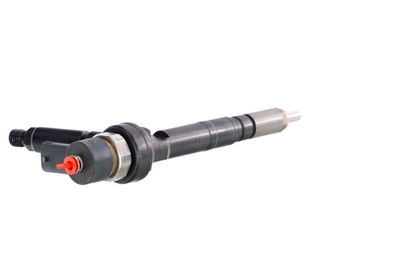 INJECTOR REMANTE 002003001190R 33