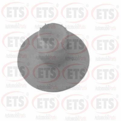 ETS 19.SM.310 Опора амортизатора для OPEL ASTRA G Фургон/универсал (F70) 1.7 TD (F70) ETS 19.SM.310 Опора амортизатора для OPEL ASTRA G Фургон/универсал (F70) 1.7 TD (F70)