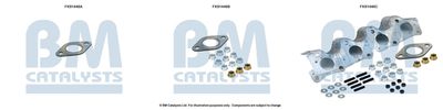 Монтажен комплект, катализатор BM Catalysts FK91446