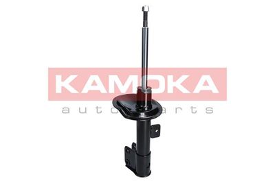 Shock Absorber 2000215