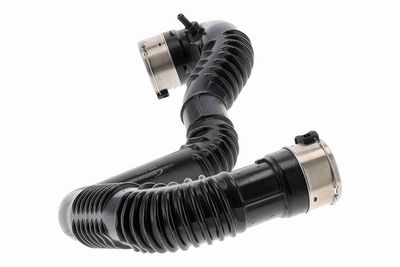 FURTUN EAR SUPRAALIMENTARE ACKOJA A380624 4