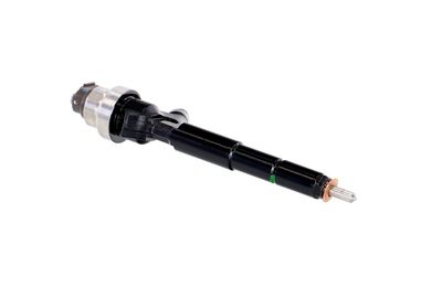 INJECTOR REMANTE 002003000192R 47