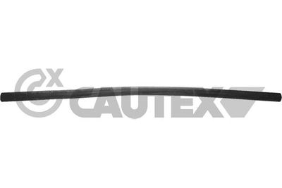 Рычаг независимой подвески колеса, подвеска колеса CAUTEX 013013 для FIAT 600