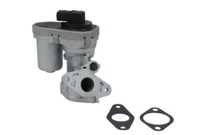 EGR Valve ENT500024