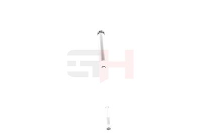 AMORTIZOR GH GH335253 18