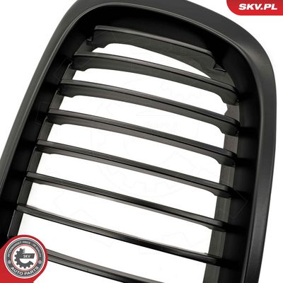 GRILA RADIATOR ESEN SKV 66SKV062 6