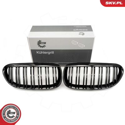 GRILA RADIATOR ESEN SKV 66SKV205 9