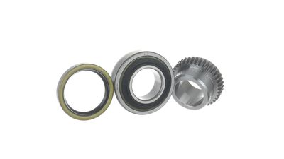 Rato guolio komplektas