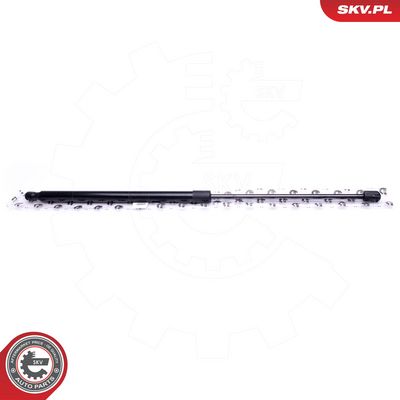 Dujinė spyruoklė, bagažinė