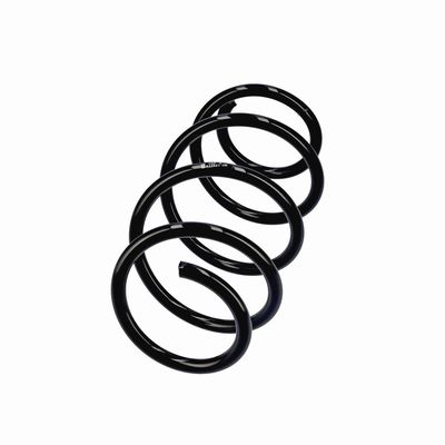ARC SPIRAL EIBACH R22921 2