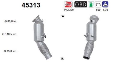 Katalizator AS 45313