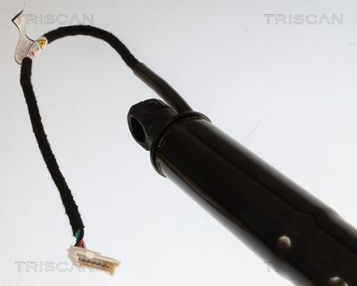 Plynárenská vzpera (pneumatická pružina), zavazadlový priestor TRISCAN 8710 11381