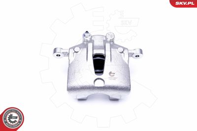 Brake Caliper 42SKV481