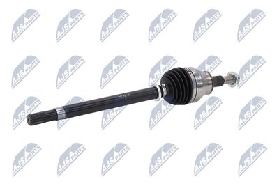 PLANETARA NTY NPWCH154 22