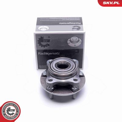 SET RULMENT ROATA ESEN SKV 29SKV511