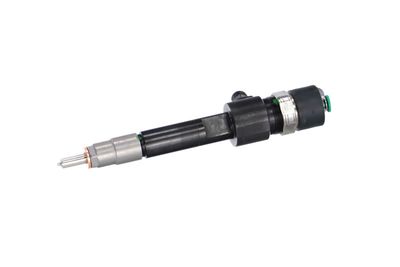 INJECTOR REMANTE 002003001688R 11