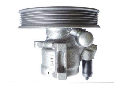 HYDRAULIKPUMPE LENKUNG SPIDAN 53617 3