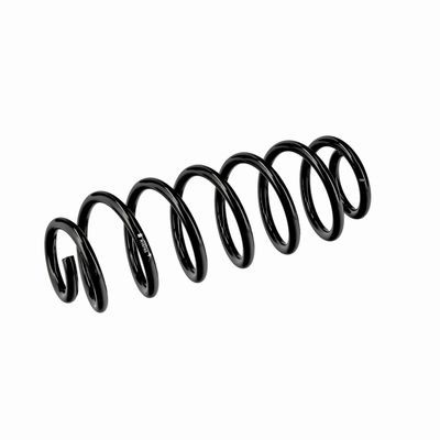 ARC SPIRAL EIBACH R10795 5