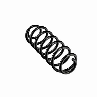 ARC SPIRAL EIBACH R10795 11