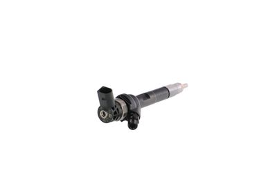 INJECTOR REMANTE 002003001754R 30