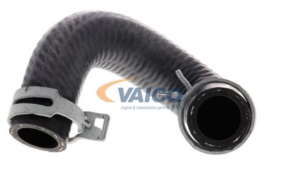 KüHLERSCHLAUCH VAICO V301096 16
