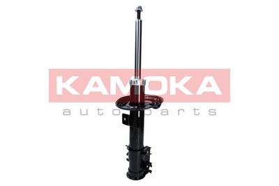 Shock Absorber 2000374