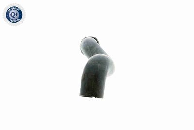 KüHLERSCHLAUCH VAICO V301656 3