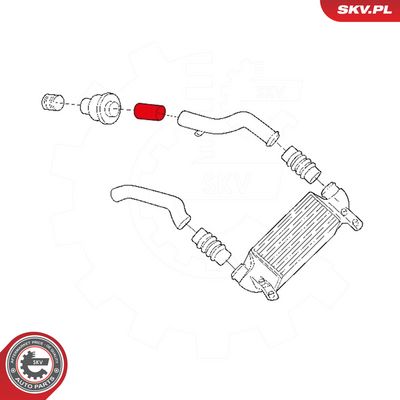 Hadička plnícího vzduchu SKV 24SKV974