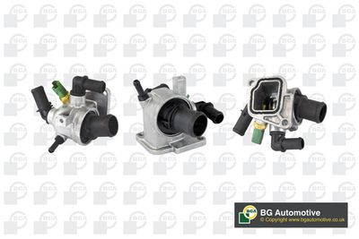 TERMOSTAT LICHID RACIRE