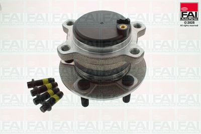 FAI AutoParts Rato guolio komplektas