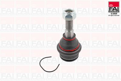 ARTICULATIE SARCINA/GHIDARE